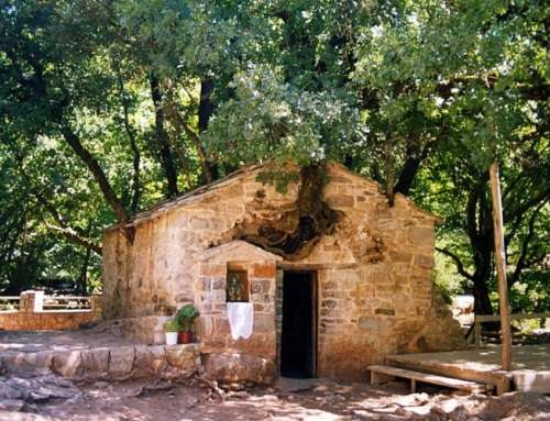 Peloponnese: The church of Agia Theodora with 17 trees on its roof!